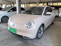 ORA Good Cat 401km Standard Range Luxury LFP - ფოტო 2