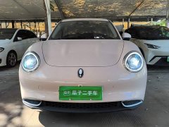 ORA Good Cat 401km Standard Range Luxury LFP - ფოტო 3