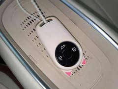 ORA Good Cat 401km Standard Range Luxury LFP - ფოტო 9