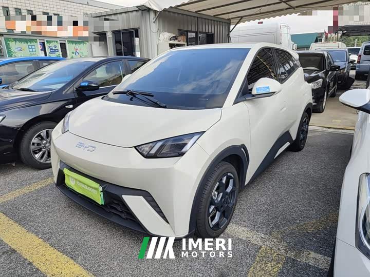 BYD Seagull 2025 305km Freedom Edition - ავტომობილი ჩინეთიდან