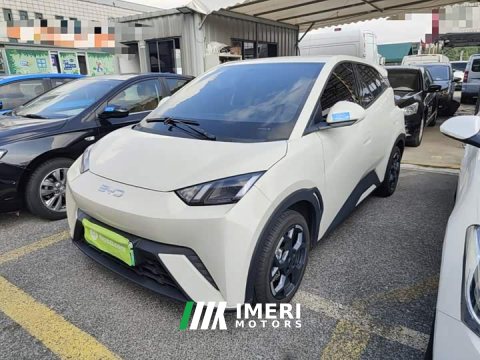 2024 BYD Seagull 2025 305km Freedom Edition - ავტომობილი ჩინეთიდან