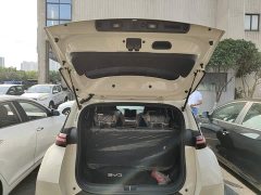 BYD Seagull 2025 305km Freedom Edition - ფოტო 19