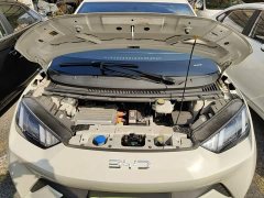BYD Seagull 2025 305km Freedom Edition - ფოტო 20