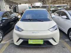 BYD Seagull 2025 305km Freedom Edition - ფოტო 3