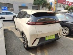 BYD Seagull 2025 305km Freedom Edition - ფოტო 5