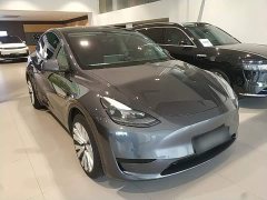 Tesla Model Y Rear-Wheel Drive - ფოტო 4
