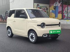 Geely Panda Mini 210km Vitality Edition - ფოტო 4