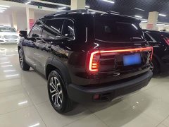 Great Wall Dachshund 1.5T DCT Border Collie Edition - ფოტო 5