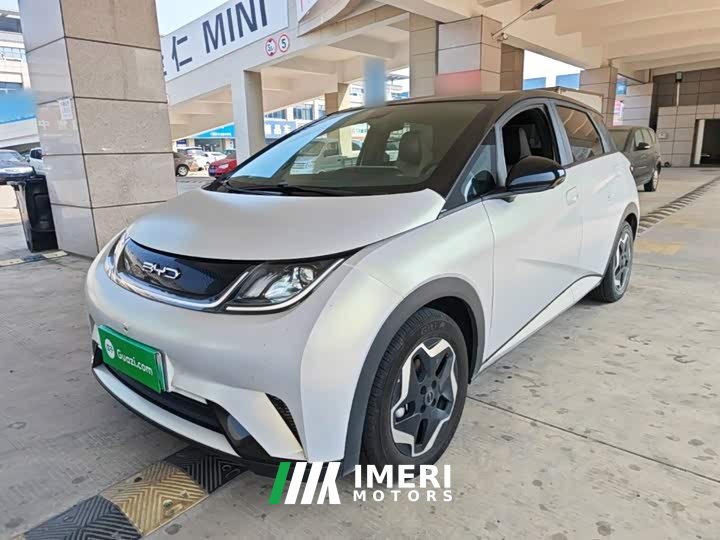 BYD Dolphin 405km Fashion Edition - ავტომობილი ჩინეთიდან