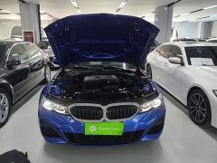BMW 3 Series Facelift 320Li M Sport Package - ფოტო 20
