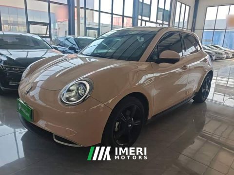 2024 ORA Good Cat 401km Luxury - ავტომობილი ჩინეთიდან