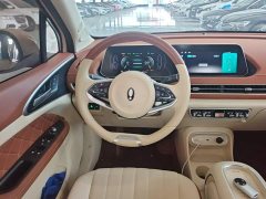 ORA Good Cat 401km Luxury - ფოტო 11