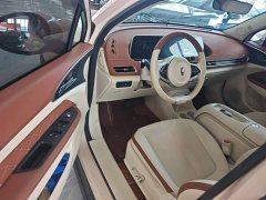 ORA Good Cat 401km Luxury - ფოტო 16