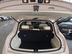 ORA Good Cat 401km Luxury - ფოტო 19