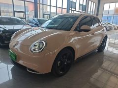 ORA Good Cat 401km Luxury - ფოტო 2