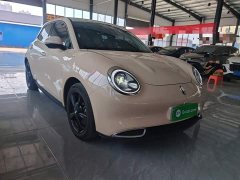 ORA Good Cat 401km Luxury - ფოტო 4