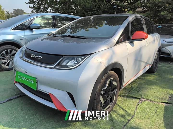 BYD Dolphin 405km Freedom Edition - ავტომობილი ჩინეთიდან