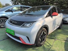 BYD Dolphin 405km Freedom Edition - ფოტო 1
