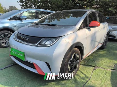 2022 BYD Dolphin 405km Freedom Edition - ავტომობილი ჩინეთიდან