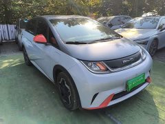 BYD Dolphin 405km Freedom Edition - ფოტო 4