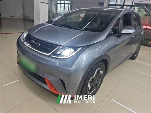 2023 BYD Dolphin 405km Fashion Edition - ავტომობილი ჩინეთიდან