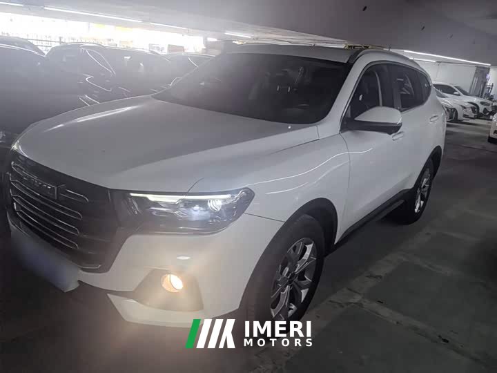 Haval H6 National Trend 1.5T Automatic Champion Edition