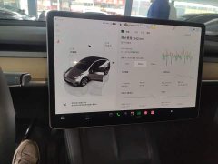 Tesla Model Y 2022 Facelift Rear-Wheel Drive - ფოტო 13
