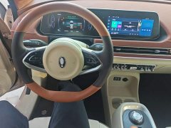 ORA Good Cat Morandis 400km Standard Range Luxury Ternary Lithium - ფოტო 10