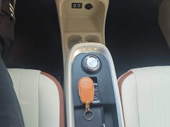 ORA Good Cat Morandis 400km Standard Range Luxury Ternary Lithium - ფოტო 14