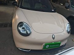 ORA Good Cat Morandis 400km Standard Range Luxury Ternary Lithium - ფოტო 3