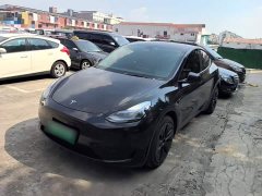 Tesla Model Y 2022 Facelift Rear-Wheel Drive - ფოტო 1