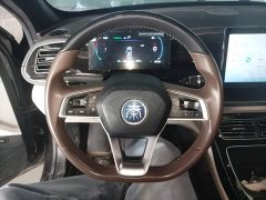 BYD Qin PLUS Champion Edition DM-i 55KM Exceed - ფოტო 11