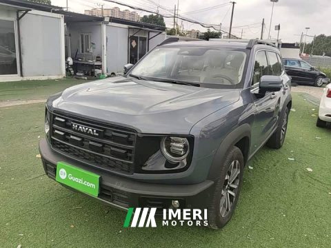 2025 Great Wall Dachshund 2026 1.5T DCT Border Collie Edition - ავტომობილი ჩინეთიდან