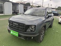 Great Wall Dachshund 2026 1.5T DCT Border Collie Edition - ფოტო 2
