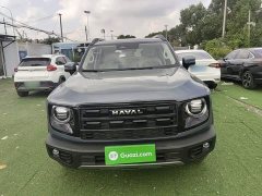 Great Wall Dachshund 2026 1.5T DCT Border Collie Edition - ფოტო 3