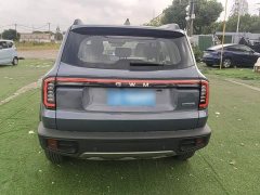 Great Wall Dachshund 2026 1.5T DCT Border Collie Edition - ფოტო 6