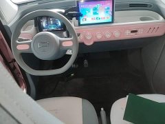 FAW Besturn Xiaoma 222km Dynamic Edition - ფოტო 14