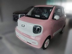 FAW Besturn Xiaoma 222km Dynamic Edition - ფოტო 3
