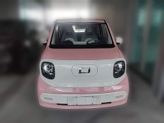 FAW Besturn Xiaoma 222km Dynamic Edition - ფოტო 5