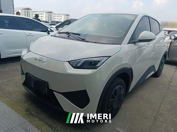 BYD Seagull Smart Drive 305km Vitality Edition - ავტომობილი ჩინეთიდან