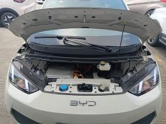BYD Seagull Smart Drive 305km Vitality Edition - ფოტო 20