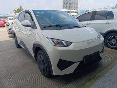 BYD Seagull Smart Drive 305km Vitality Edition - ფოტო 4