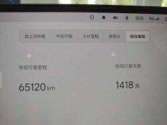 Li Auto L9 Max - ფოტო 12