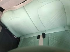 Wuling Hongguang MINIEV 2021 Macaron Premium Edition LFP - ფოტო 17