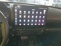Haval Big Dog PLUS 1.5T Two-Wheel Drive Trendy Wilderness Edition Plus - ფოტო 13