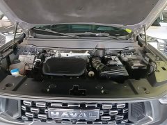 Haval Big Dog PLUS 1.5T Two-Wheel Drive Trendy Wilderness Edition Plus - ფოტო 20