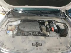 Chery Kunlun 500 Edition - ფოტო 20