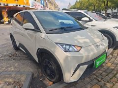 BYD Seagull 305km Vitality Edition - ფოტო 4