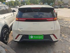 BYD Seagull 305km Vitality Edition - ფოტო 6