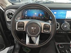 Tank 300 Off-Road Edition 2.0T Conqueror - ფოტო 11